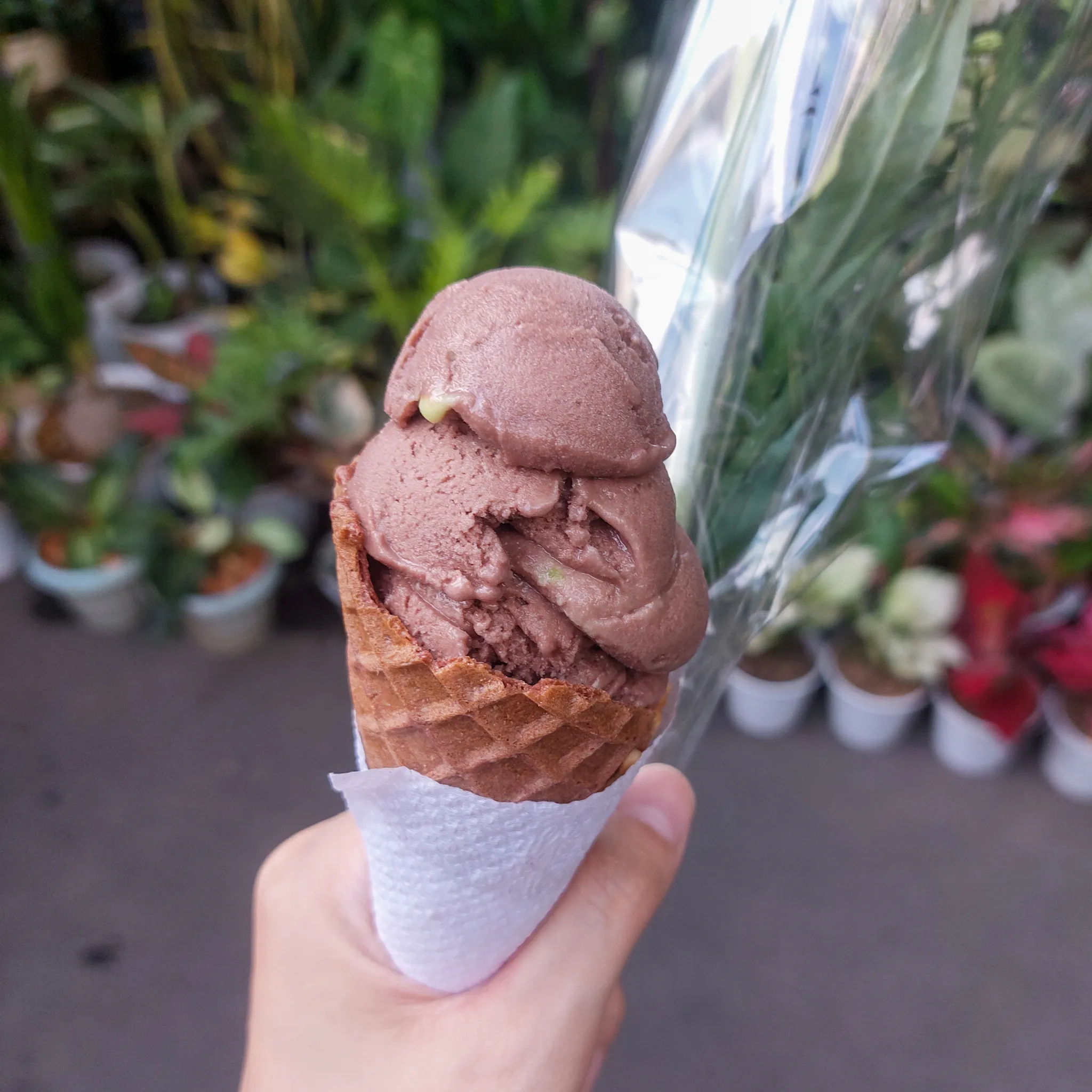 You can never go wrong with good ol’ chocolate sorbetes.